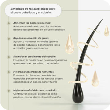 Champú Anticaída - Natural Skin & Hair