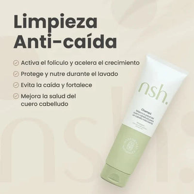 Protocolo Anticaída