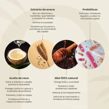 Protocolo Anticaída