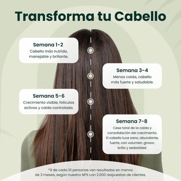 Regenerador Bioactivo