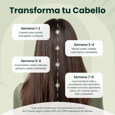 Regenerador Bioactivo